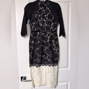 Alexie: Chic Black and Cream Lace Long Sleeve Dress